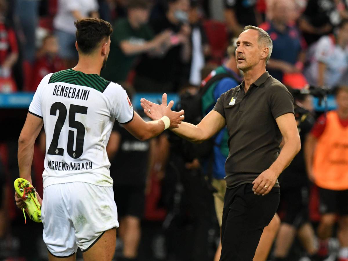 Gladbach-Trainer Adi Hütter (r.) klatscht Borussia-Verteidiger Ramy Bensebaini (l.) ab. Das Foto zeigt die beiden am 20. August 2021 in Leverkusen. Hütter und Bensebaini schauen sich an der Seitenlinie an.