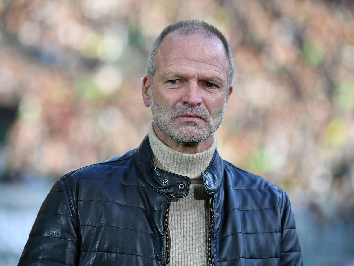 Holger Fach im Borussia-Park