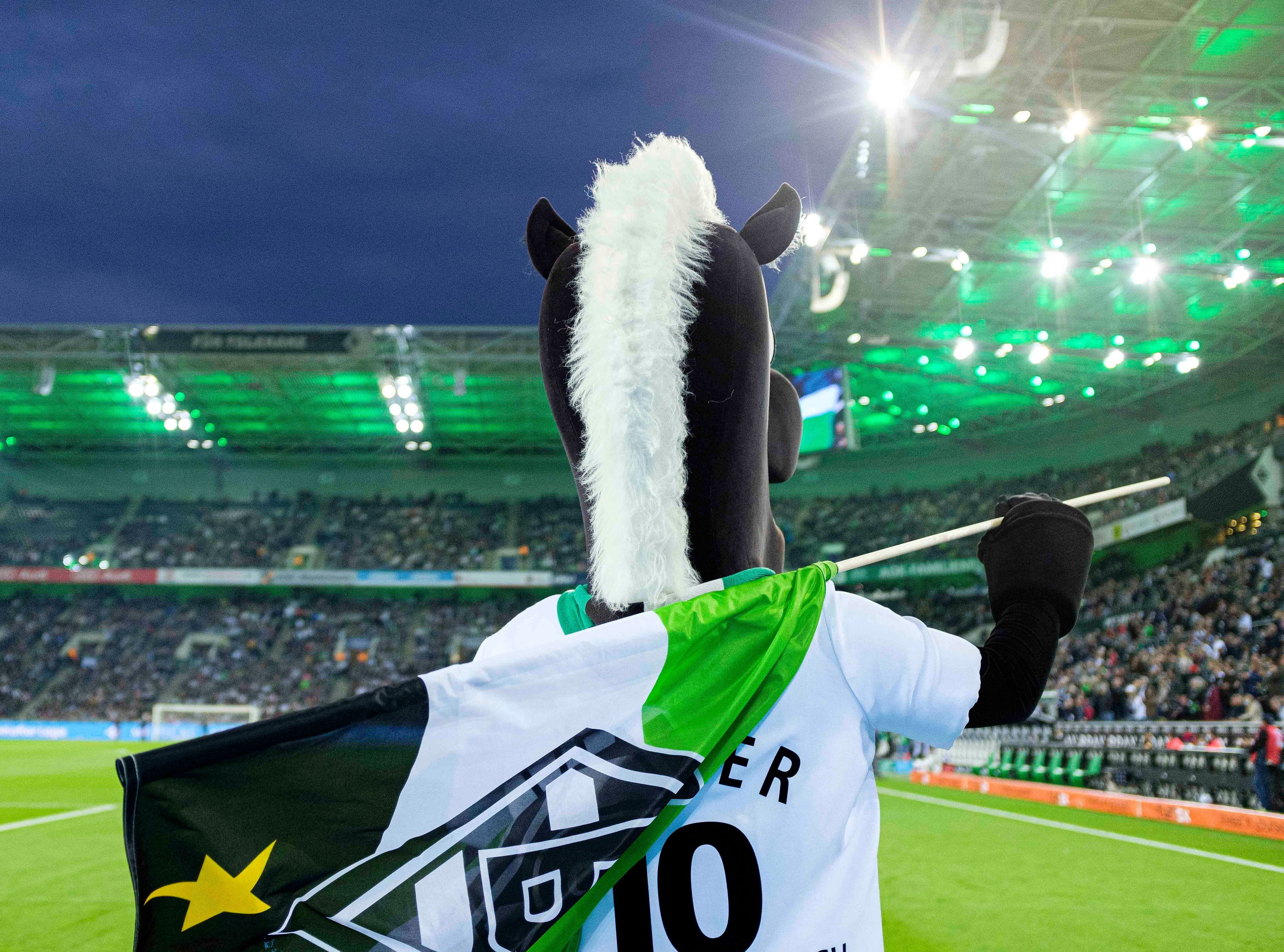 Jünter, das Maskottchen von Fußball-Bundesligist Borussia Mönchengladbach: Stolzer Blick nach vorne, die Fohlen-Fahne selbstbewusst auf den Schultern, tausende Fans in der Nordkurve hinter sich. Dieses Foto stammt vom 31. Oktober 2021.