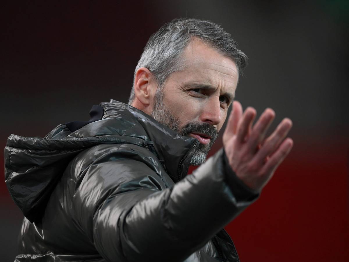 Borussia-Trainer Marco Rose beim DFB-Pokal-Spiel in Stuttgart am 3. Februar 2020 in der Mercedes-Benz-Arena.