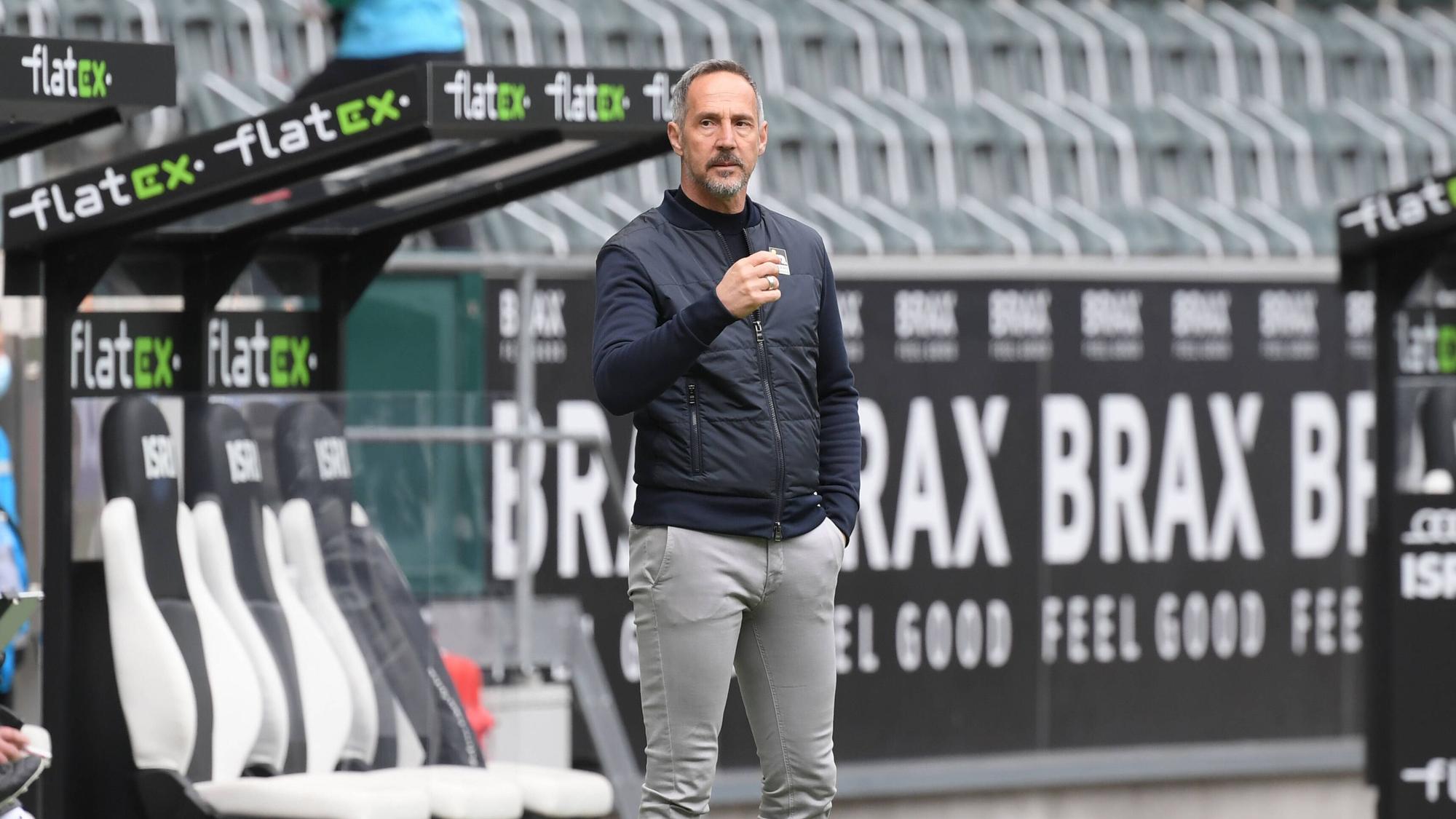 Trainer Adi Hütter steht an der Seitenlinie des Borussia-Parks und blickt auf das Spielfeld.