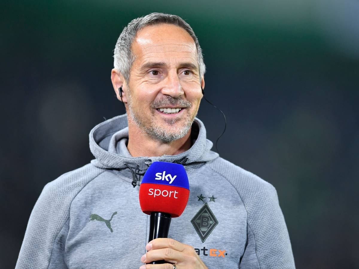 Fußball: DFB-Pokal, Borussia Mönchengladbach - Bayern München, 2. Runde, Stadion im Borussia-Park. Borussias Trainer Adi Hütter vor dem Spiel.
