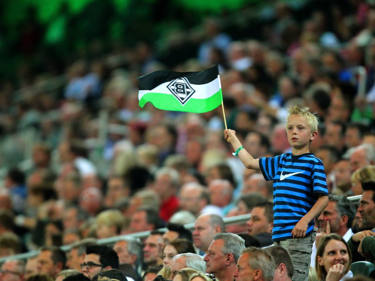 Zuschauerinnen und Zuschauer im Borussia-Park. Dieses Fan-Foto stammt von der Partie zwischen Borussia Mönchengladbach und dem VfL Wolfsburg am 19. August 2011. Ein junger Fan schwenkt seine Gladbach-Fahne.