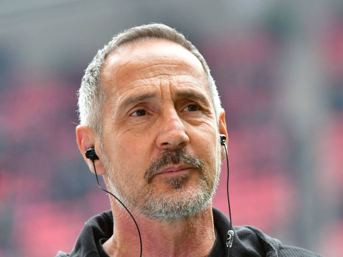 Adi Hütter, Trainer von Borussia Mönchengladbach, begrüßt die Entscheidung für ein Benefizspiel gegen die Nationalmannschaft der Ukraine.