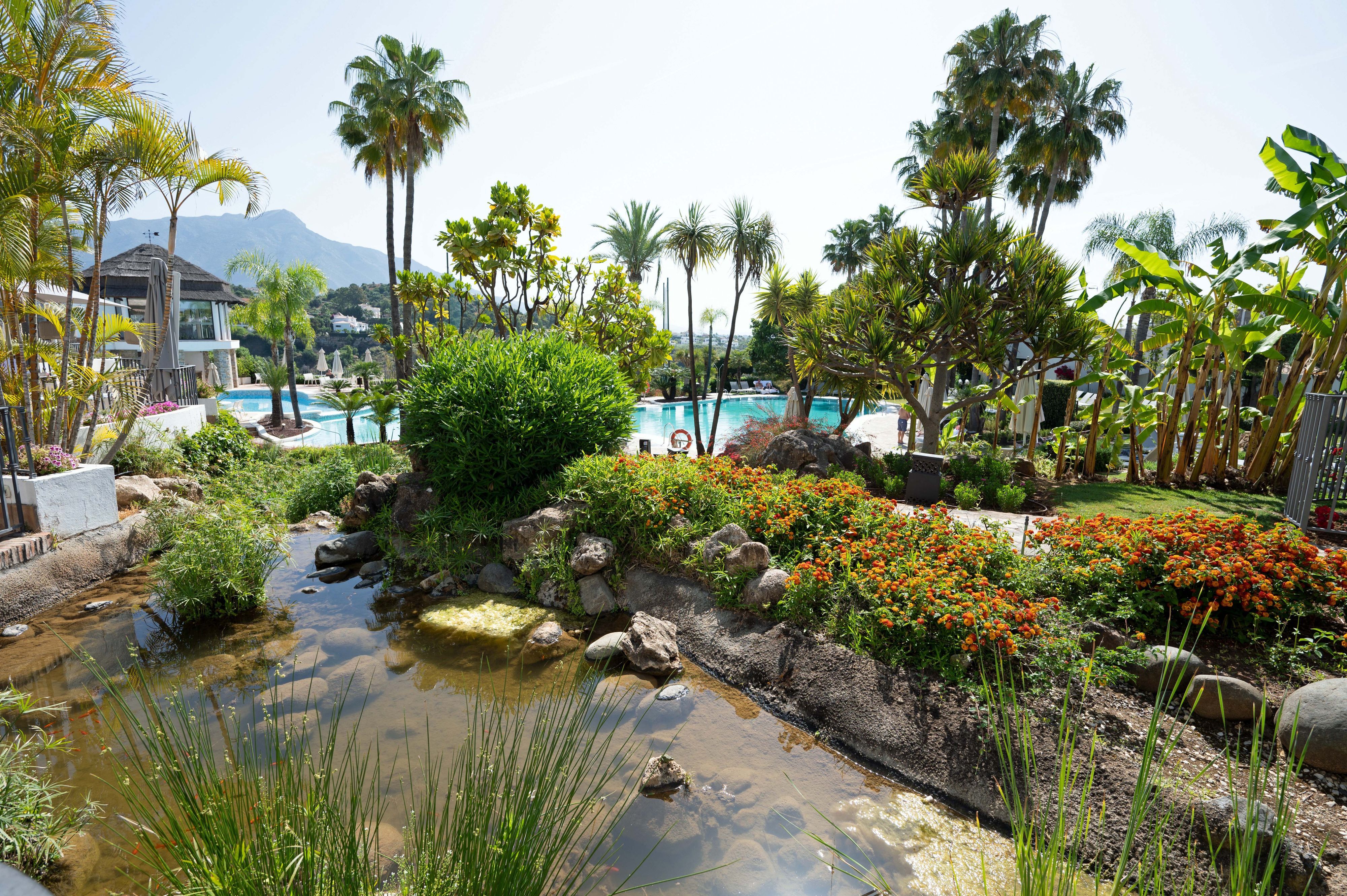 Die deutsche Nationalmannschaft ist im spanischen Trainingslager derzeit im „The Westin La Quinta Golf Resort & Spa“ in Marbella untergebracht. Diese Aufnahme stammt vom 23. Mai 2022. Zu sehen sind ein herrlicher Pool und zahlreiche Pflanzen.