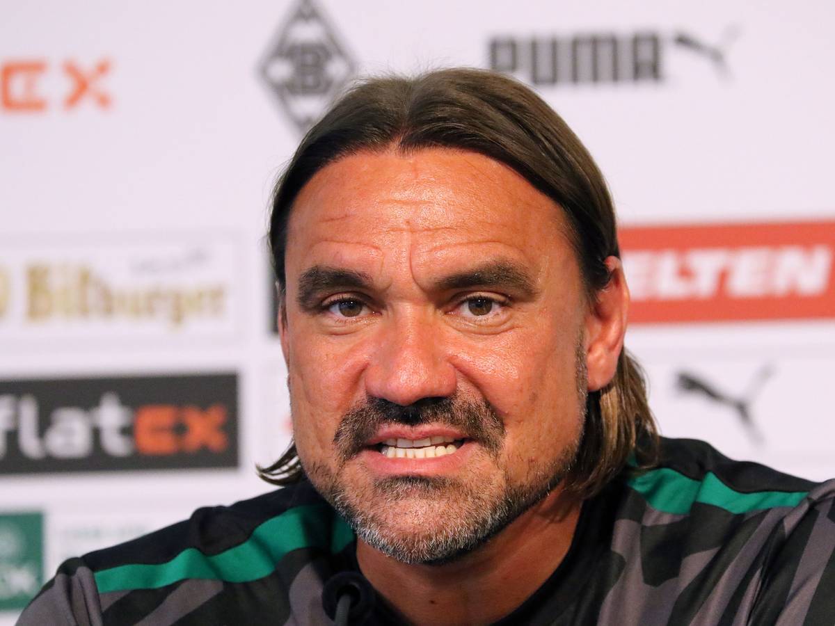 Gladbach-Trainer Daniel Farke. Auf diesem Bild ist der 45-Jährige während einer Pressekonferenz am 11. August 2022 im Borussia-Park zu sehen. Farke blickt in die Kamera des Fotografen.