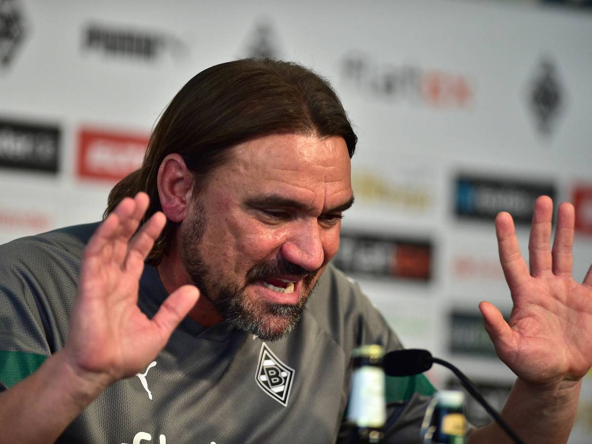 Gladbach-Trainer Daniel Farke hat am Freitag (21. Oktober 2022) während der Pressekonferenz im Borussia-Park eine Brandrede gehalten.