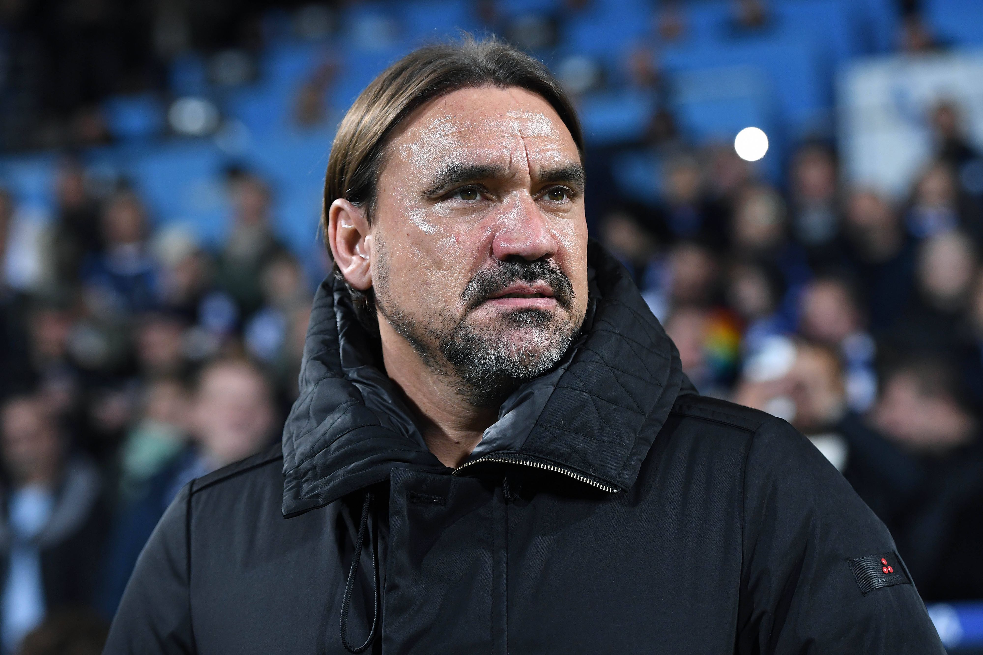 Daniel Farke, Trainer von Borussia Mönchengladbach, war mit der Leistung seines Teams beim Auswärtsspiel in Bochum am Dienstag (8. November 2022) besonders in der Anfangsphase überhaupt nicht einverstanden. Das Foto zeigt den 46-Jährigen an der Seitenlinie stehend.