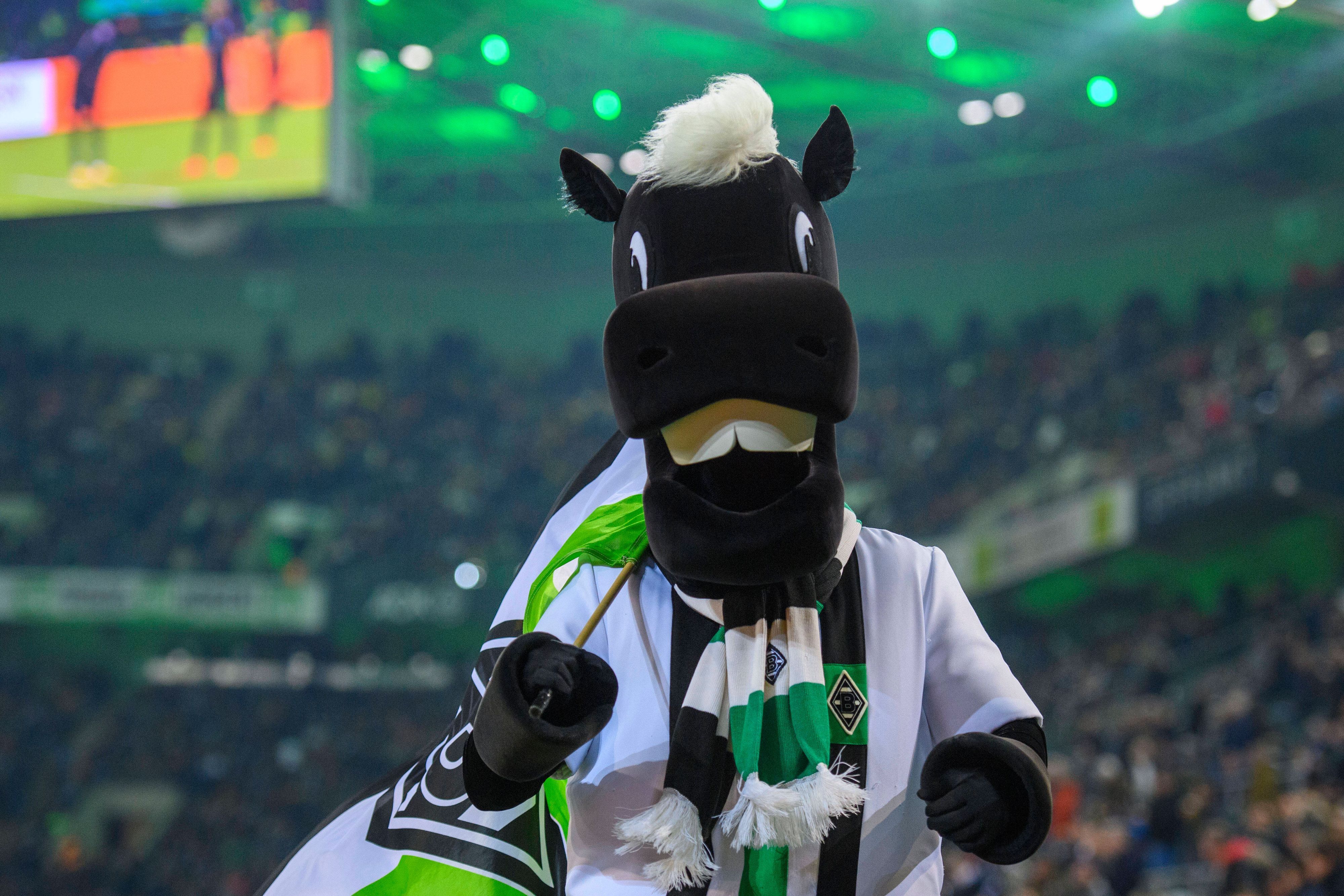 Jünter, Maskottchen von Borussia Mönchengladbach, schaut am 11. November 2022 nach dem Bundesliga-Spiel gegen Borussia Dortmund fröhlich und frontal in die Kamera.