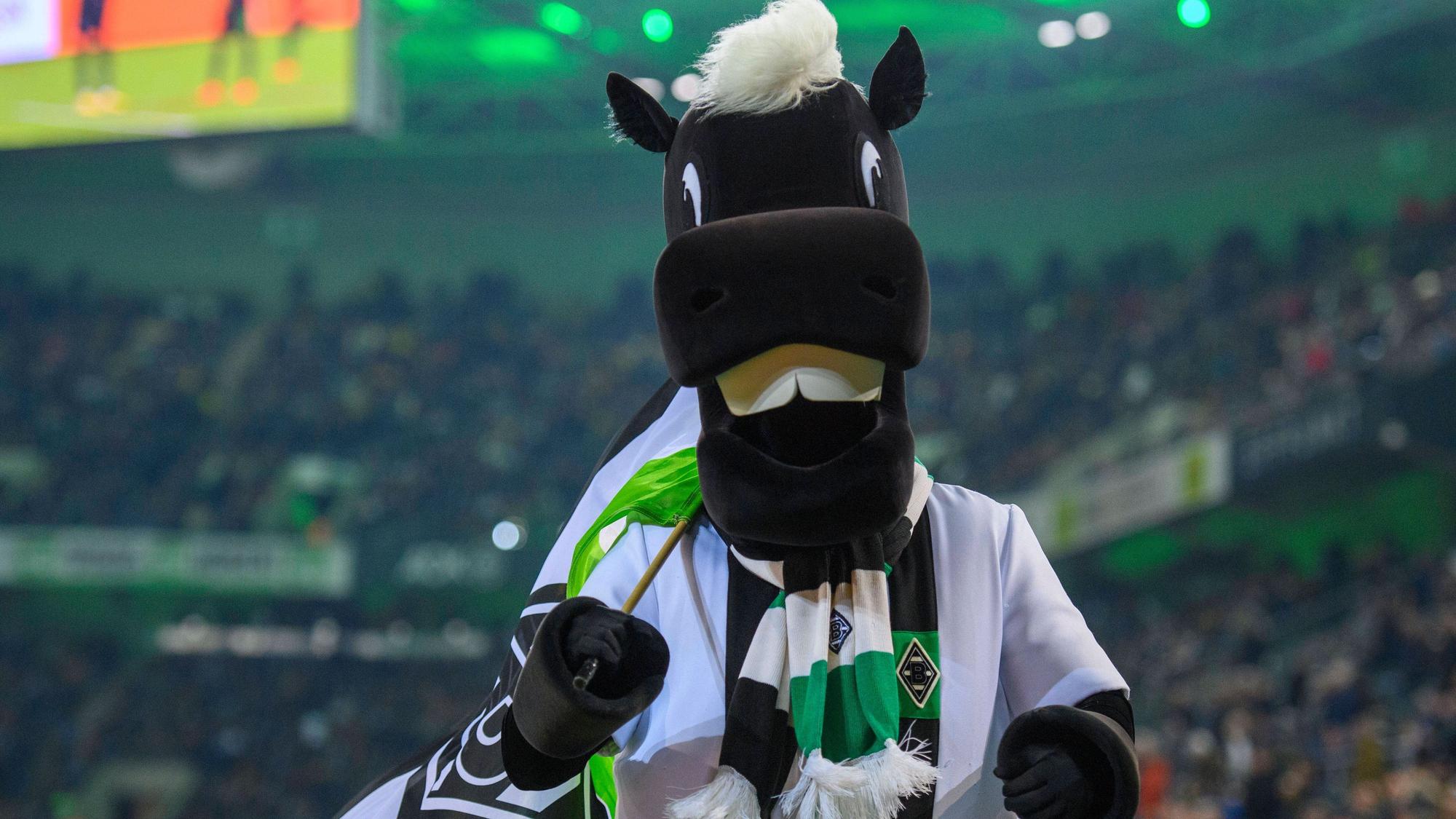 Jünter, Maskottchen von Borussia Mönchengladbach, schaut am 11. November 2022 nach dem Bundesliga-Spiel gegen Borussia Dortmund fröhlich und frontal in die Kamera.