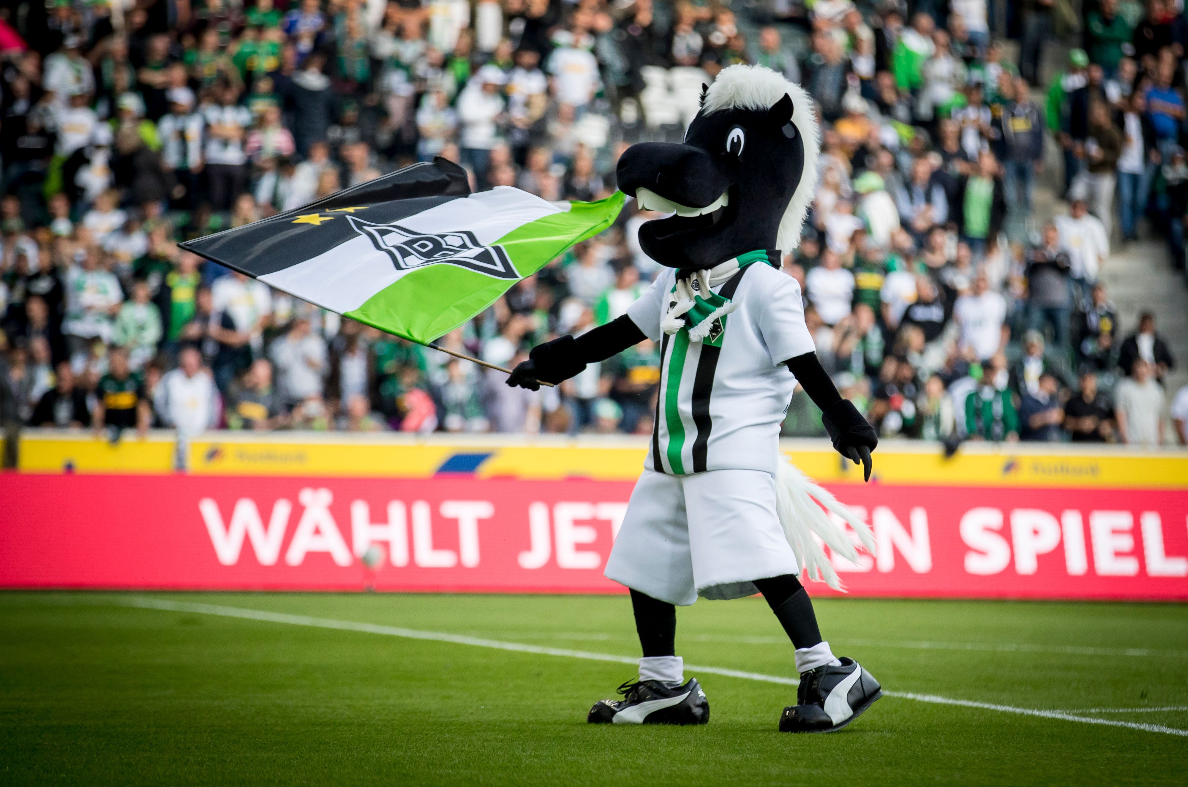 Das Maskottchen von Borussia Mönchengladbach, Jünter, schwenkt auf dem Rasen Borussia-Park seine Fahne.