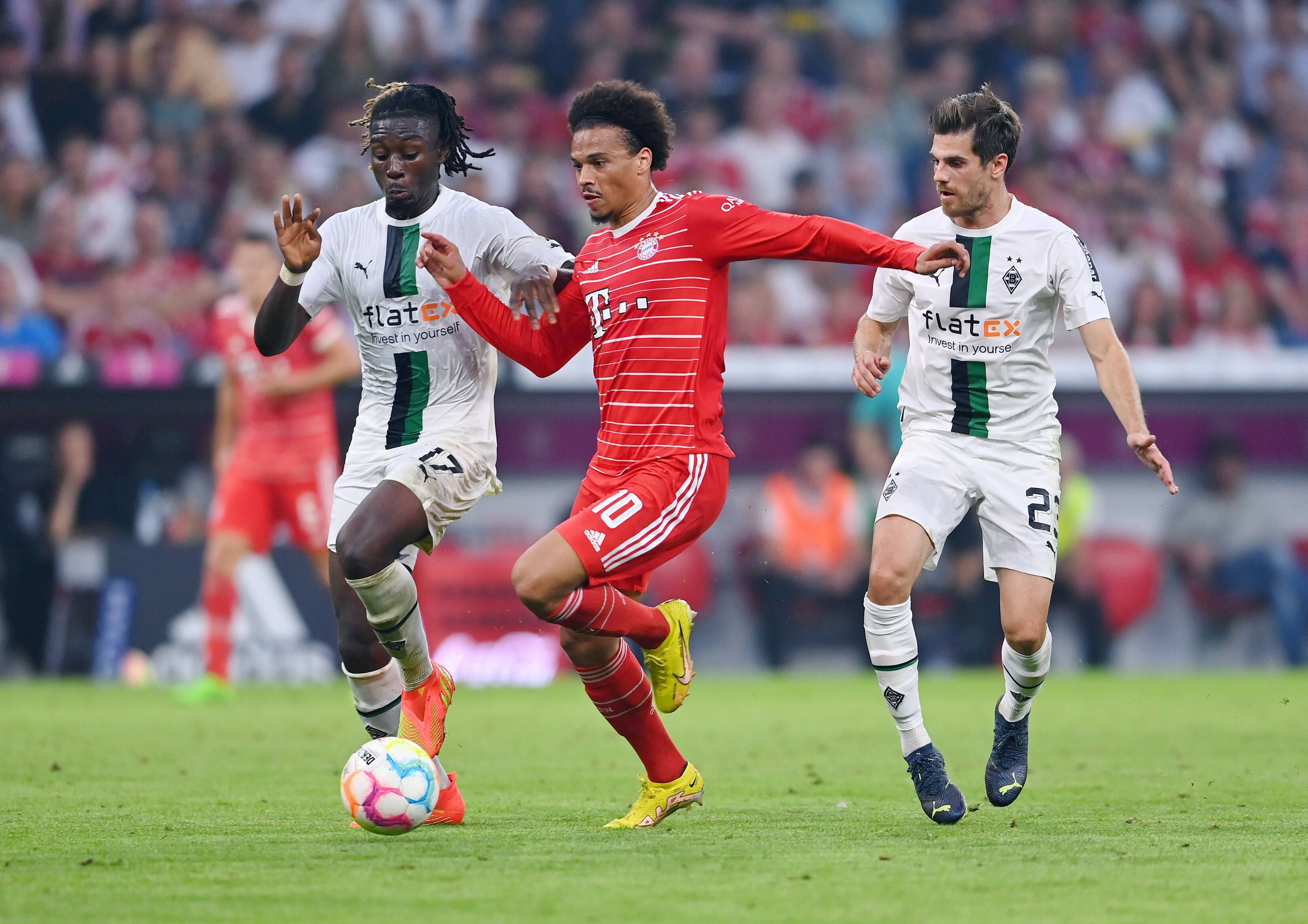 Manu Koné (l.) und Jonas Hofmann (r.), hier am 27. August 2022, kämpfen im Bundesliga-Spiel von Borussia Mönchengladbach beim FC Bayern München mit Leroy Sané um den Ball. Koné und Sané blicken auf den Ball, die Gladbach-Spieler tragen das weiße Borussia-Heimtrikot. Sané spielt ganz in rot.