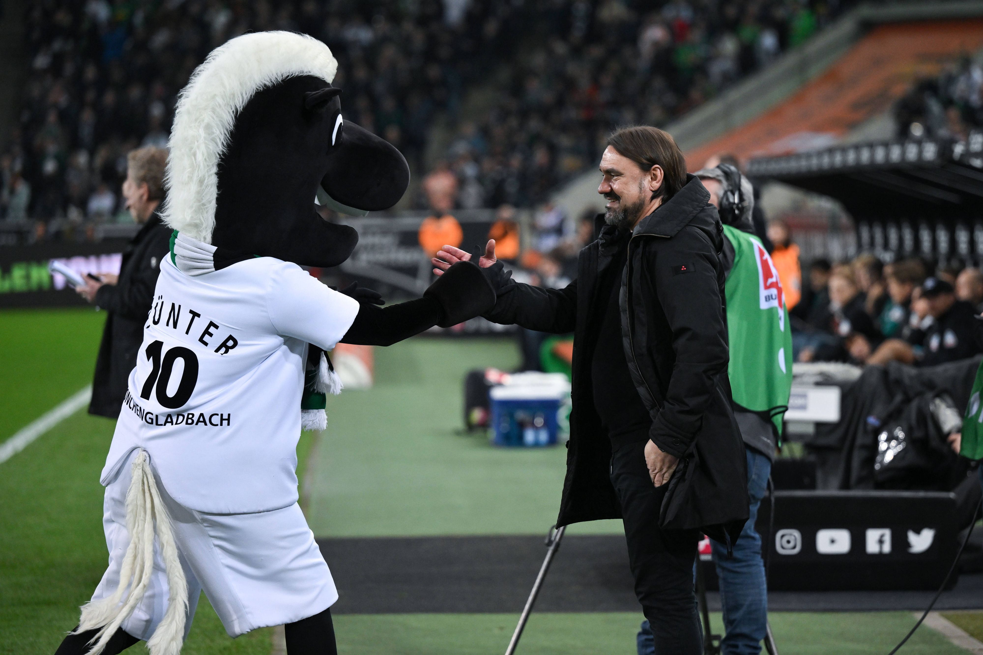 Keine Konkurrenz für Jünter: Trainer Daniel Farke (r.) plant mittelfristig seinen Mittelfeld-Star Julian Weigl als Taktgeber von Borussia Mönchengladbach, nicht als Maskottchen, ein. Das Foto zeigt den Gladbach-Trainer am 17. März 2023.