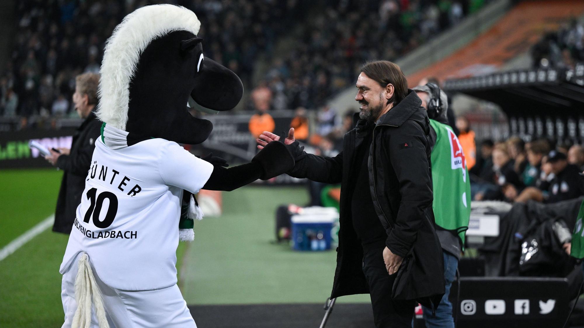 Keine Konkurrenz für Jünter: Trainer Daniel Farke (r.) plant mittelfristig seinen Mittelfeld-Star Julian Weigl als Taktgeber von Borussia Mönchengladbach, nicht als Maskottchen, ein. Das Foto zeigt den Gladbach-Trainer am 17. März 2023.