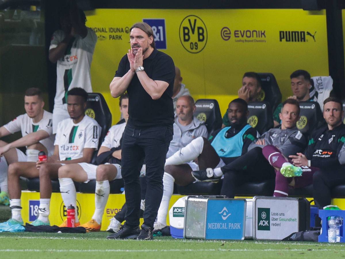 Gladbach-Trainer Daniel Farke ist massiv in die Kritik geraten. Gerüchte, dass er entlassen werden soll, sind bereits da. Hier ist der 46-Jährige während der Fohlen-Klatsche (2:5) im Bundesliga-Topspiel bei Borussia Dortmund (13. Mai 2023) zu sehen.