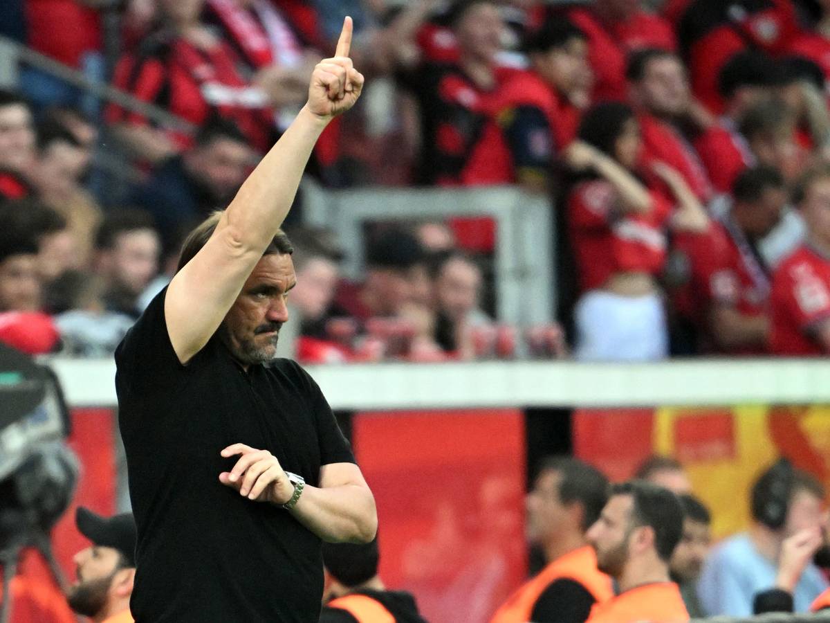Daniel Farke, Trainer von Borussia Mönchengladbach, gestikuliert an der Seitenlinie. Dieses Foto zeigt den 46-Jährigen am 21. Mai 2023 in Leverkusen.