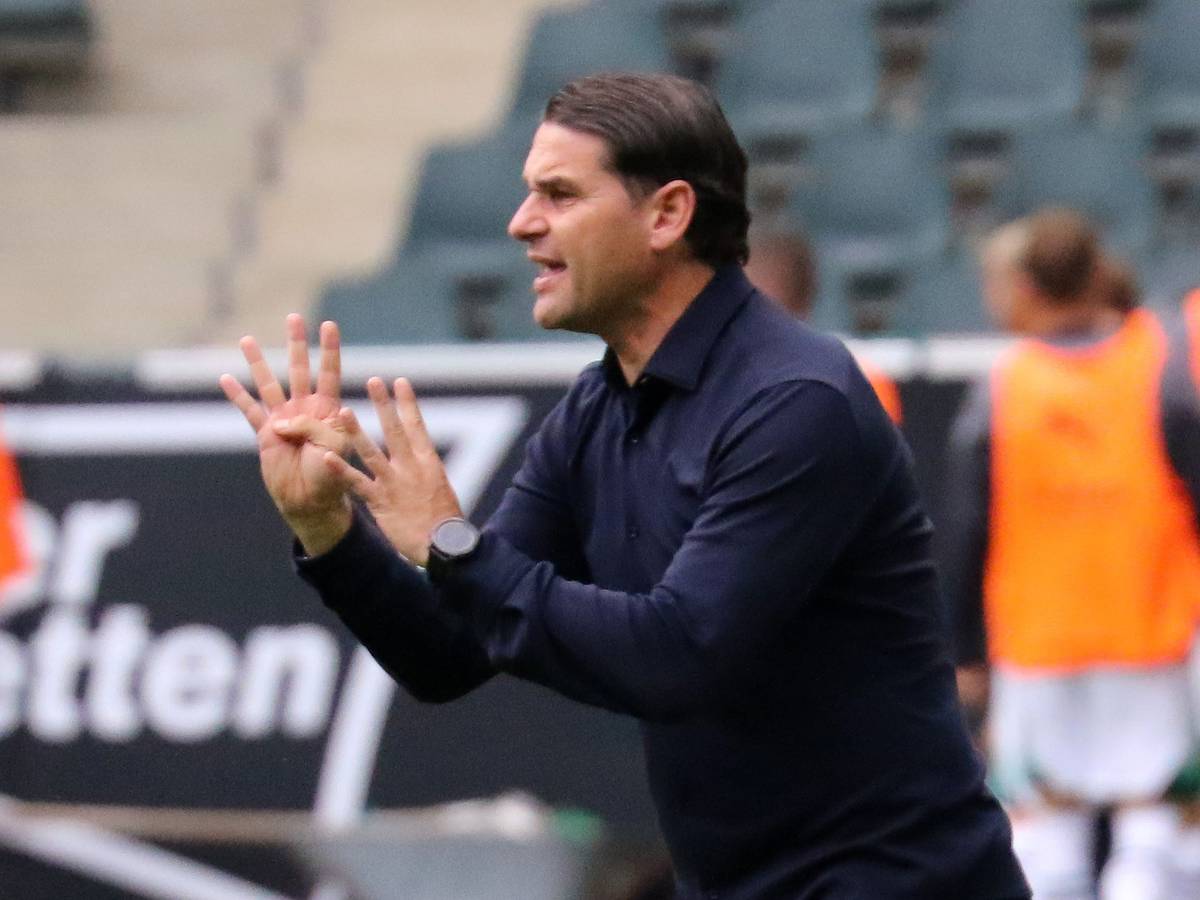 Gladbach-Trainer Gerardo Seoane, hier an der Seitenlinie während des Testspiels der Fohlen im Borussia-Park gegen Montpellier (5. August 2023) zu sehen. Der Schweizer gestikuliert.