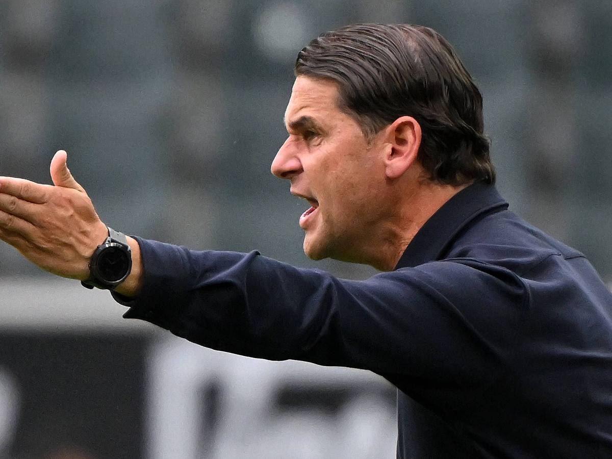 Gerardo Seaone gestikuliert am 5. August 2023 an der Seitenauslinie im Borussia-Park.