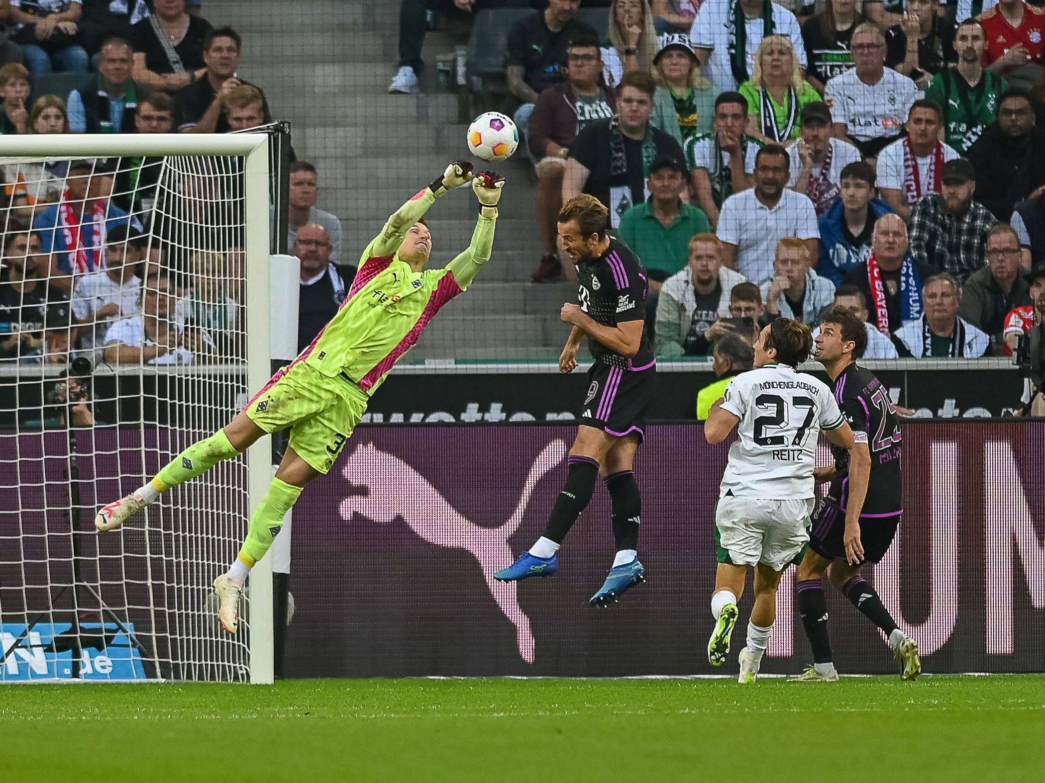 Borussia Mönchengladbach hat am Samstag (2. September 2023) knapp mit 1:2 gegen den FC Bayern München verloren. Das Foto zeigt Keeper Moritz Nicolas bei einer Parade.