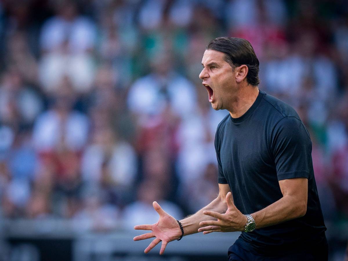 Gerardo Seoane reißt den Mund auf und gibt lautstark Kommandos beim Spiel von Borussia Mönchengladbach gegen Bayern München am 2. September 2023.