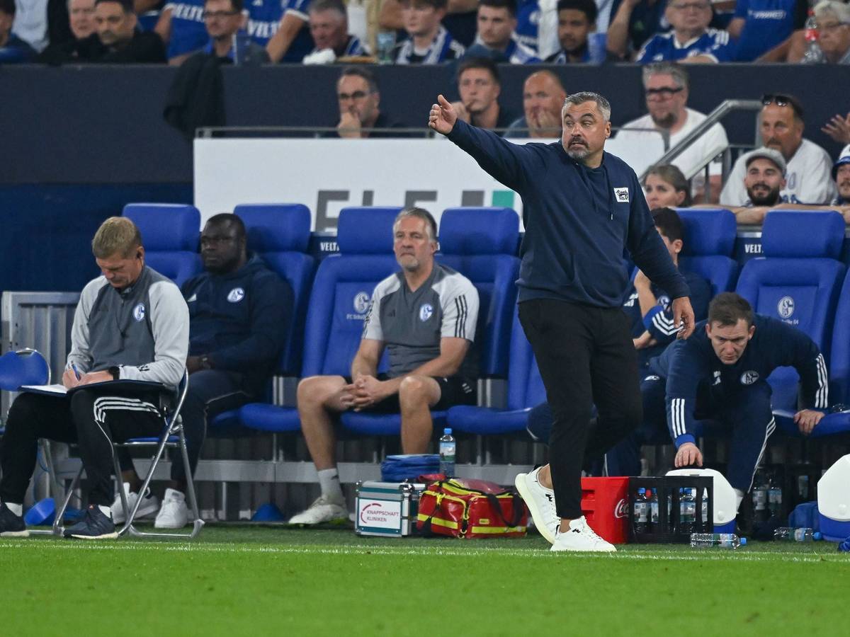 Thomas Reis gibt als Trainer von Schalke 04 Anweisungen.