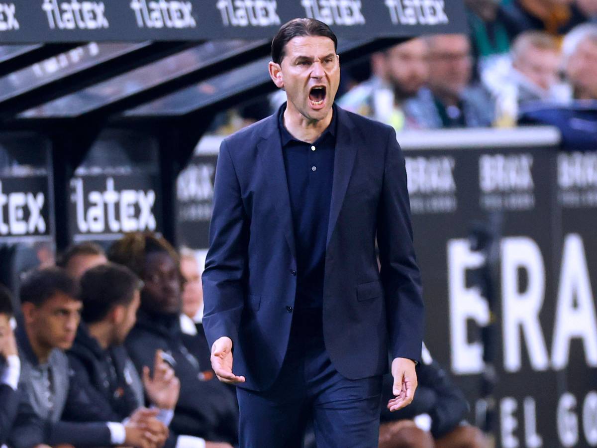 Gerardo Seoane brüllt Anweisungen auf das Spielfeld.
