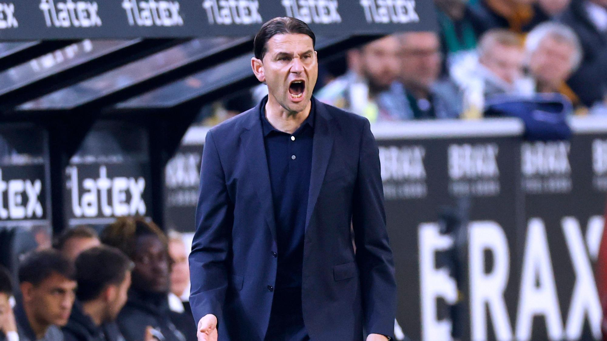 Gerardo Seoane brüllt Anweisungen auf das Spielfeld.