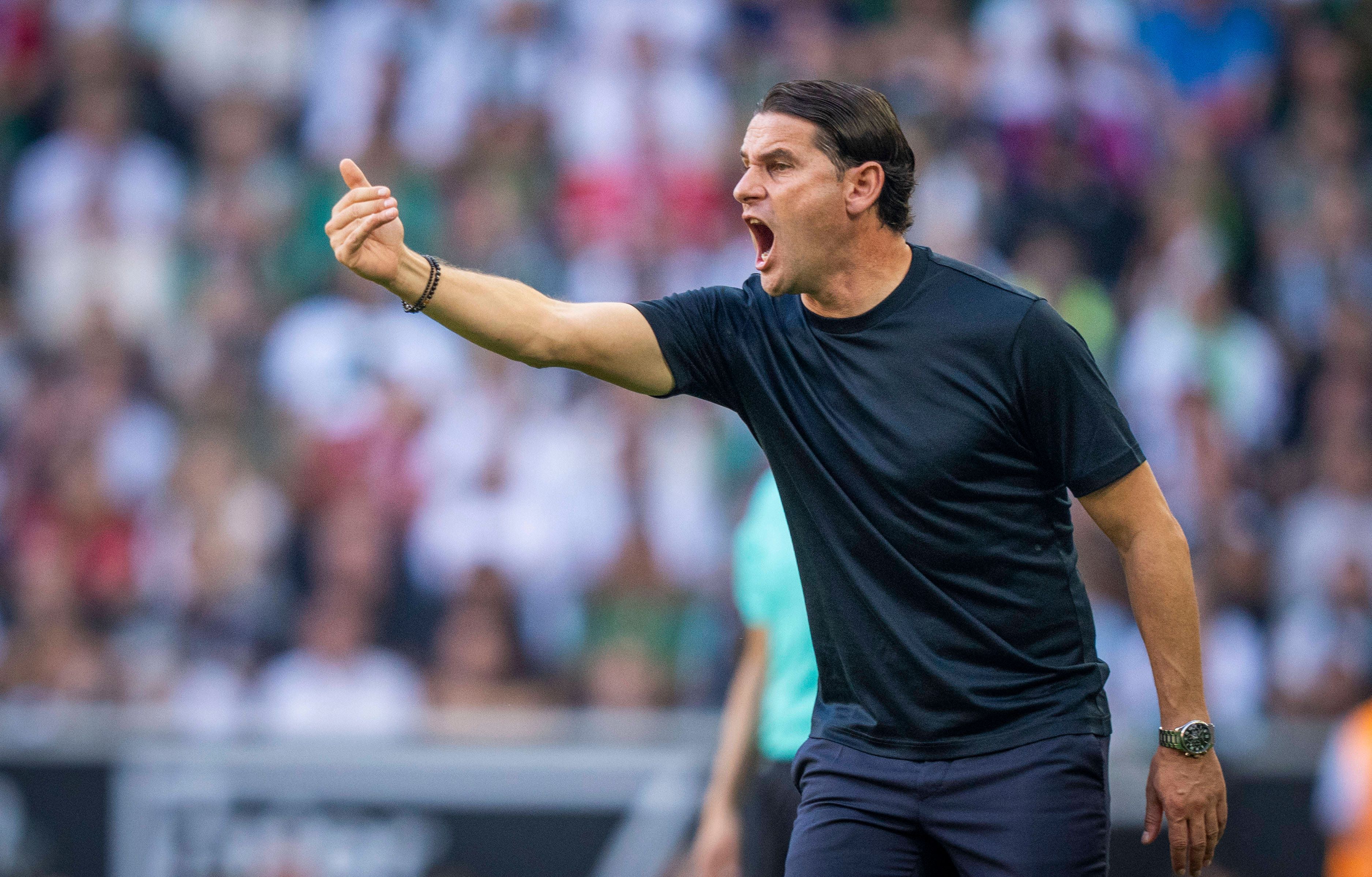 Gerardo Seoane gibt am Spielfeldrand Anweisungen.