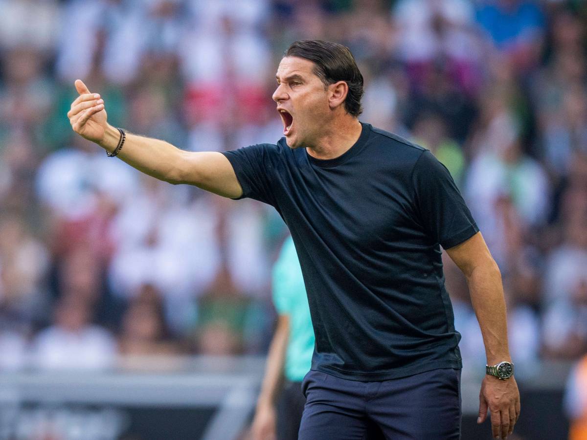 Gerardo Seoane gibt am Spielfeldrand Anweisungen.