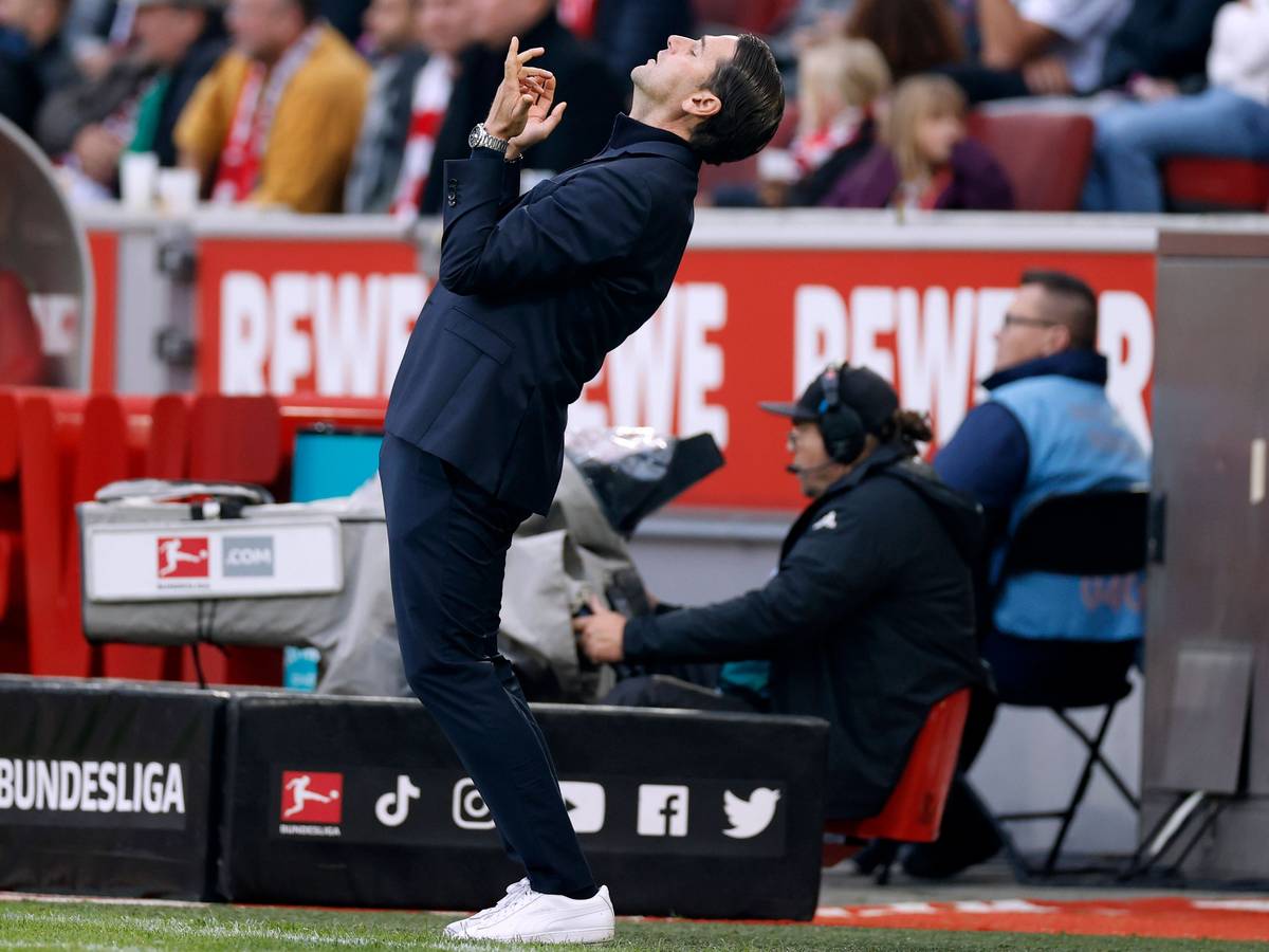 Gerardo Seoane reagiert verzweifelt am Spielfeldrand in Köln.