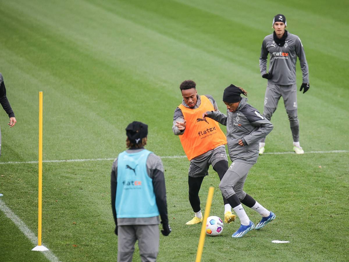 Borussia-Spieler auf dem Rasen.