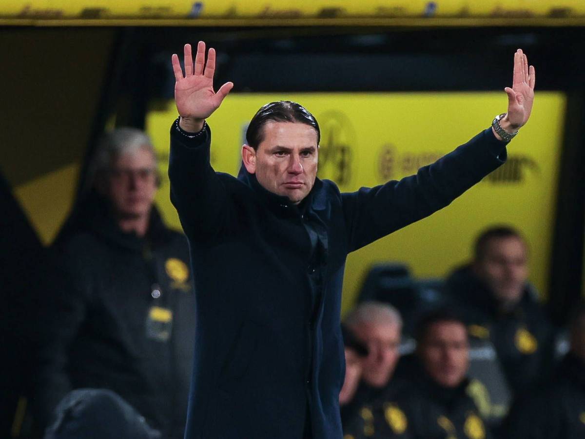 Gerardo Seoane hebt beide Hände am Spielfeldrand in Dortmund.