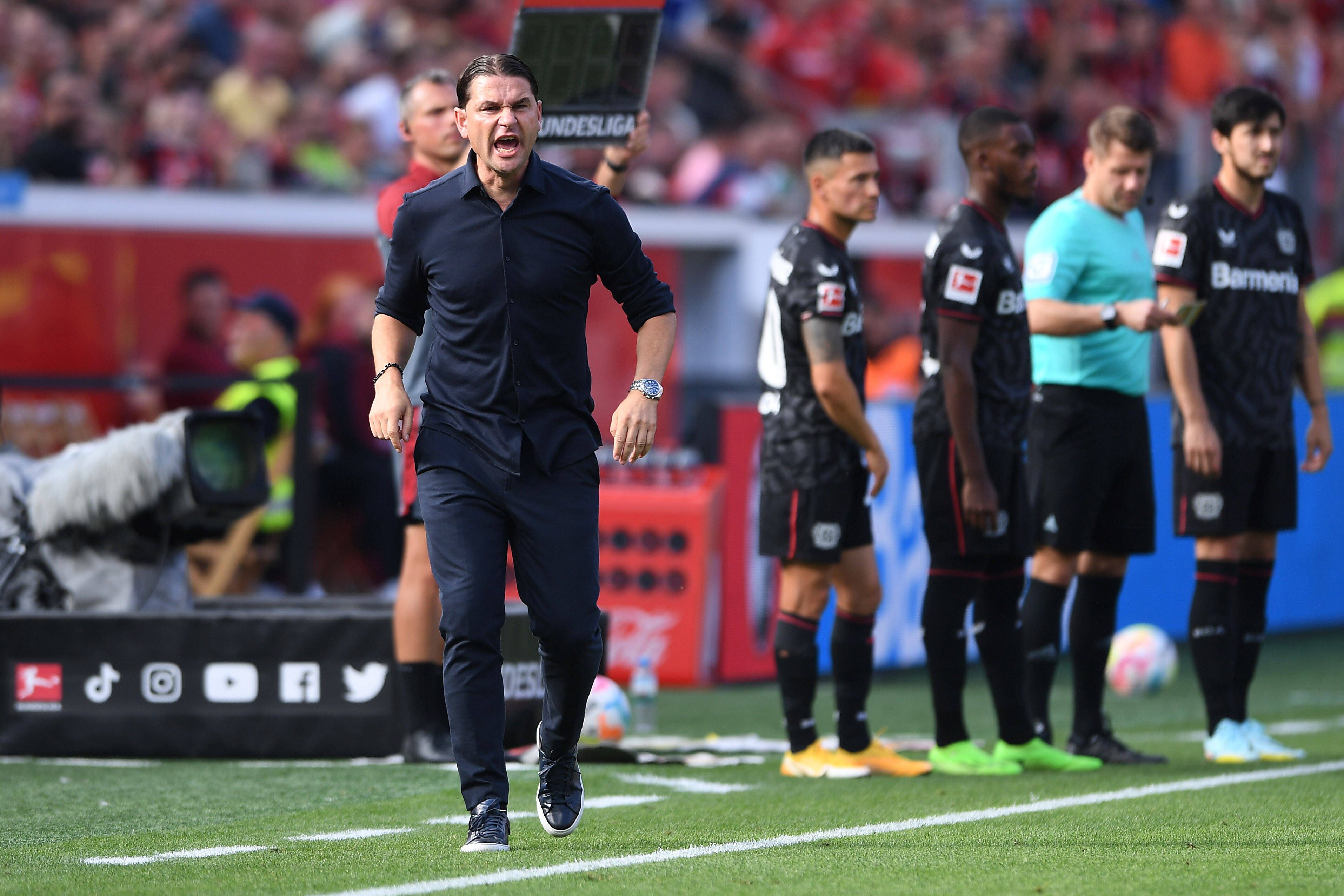 Gerardo Seoane brüllt seinen Leverkusen-Spielern etwas zu.