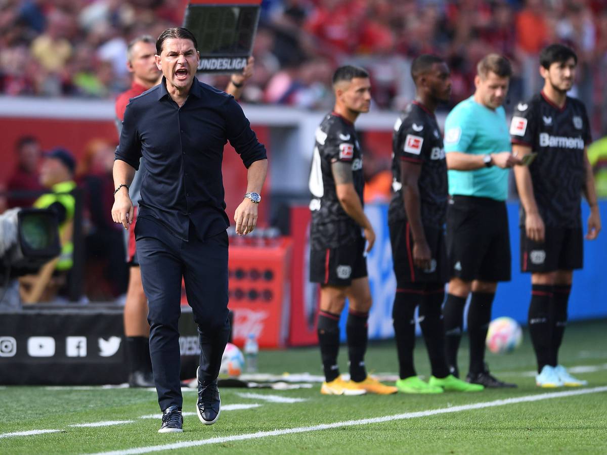 Gerardo Seoane brüllt seinen Leverkusen-Spielern etwas zu.