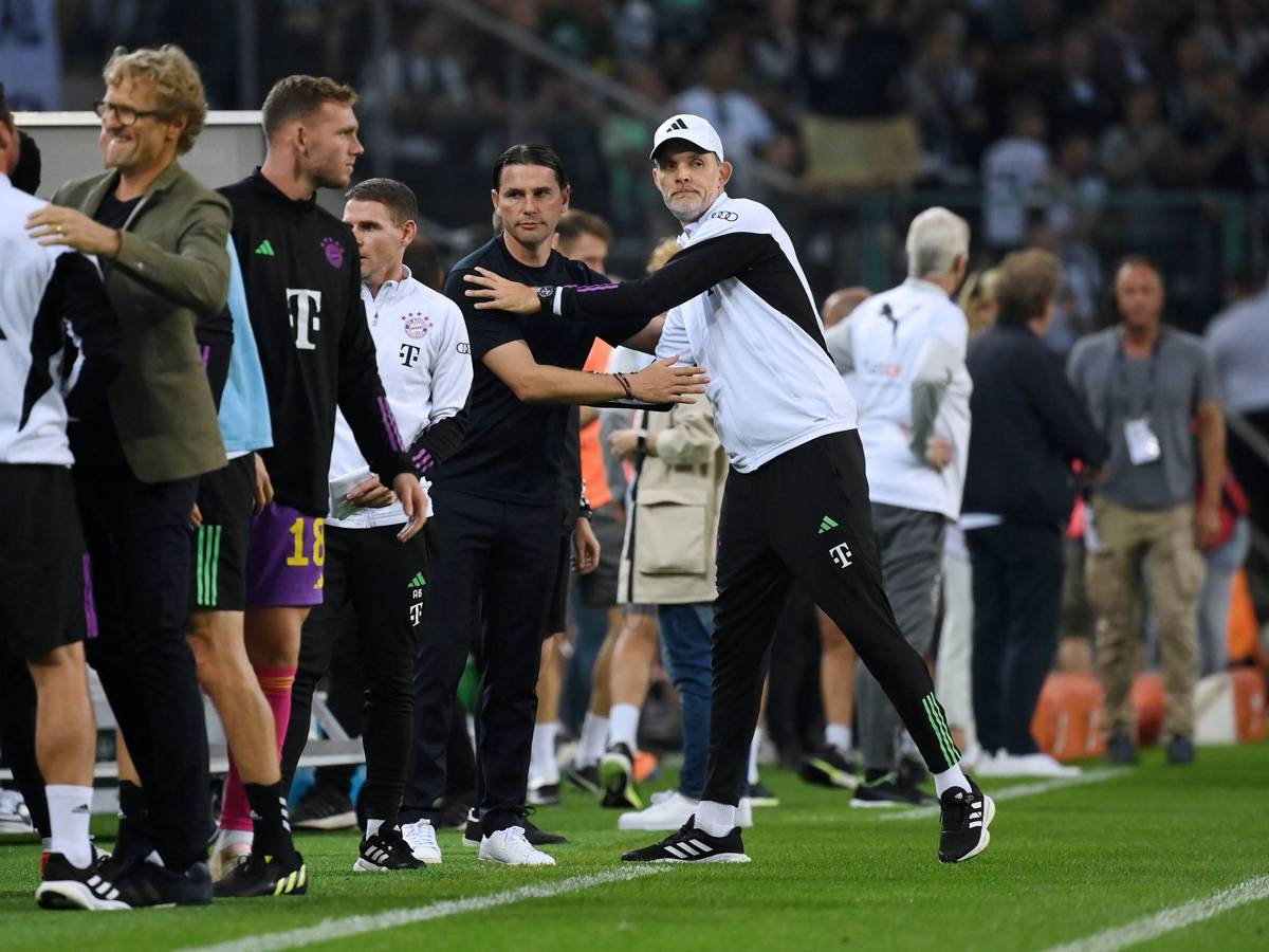 Gerardo Seoane und Thomas Tuchel klatschen ab.