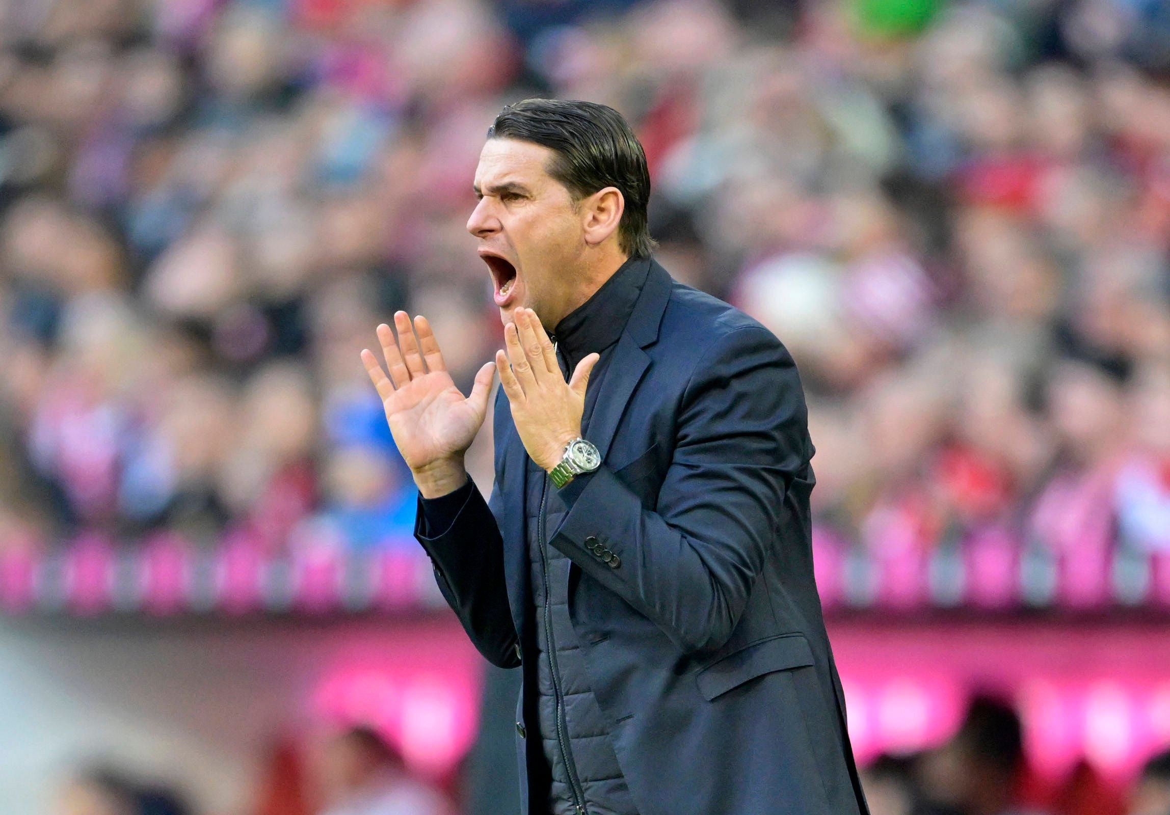 Gerardo Seoane gibt Anweisungen.