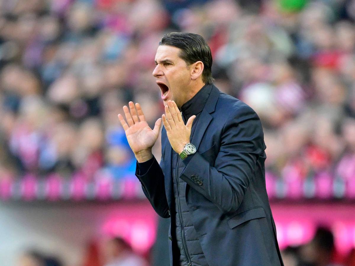 Gerardo Seoane gibt Anweisungen.