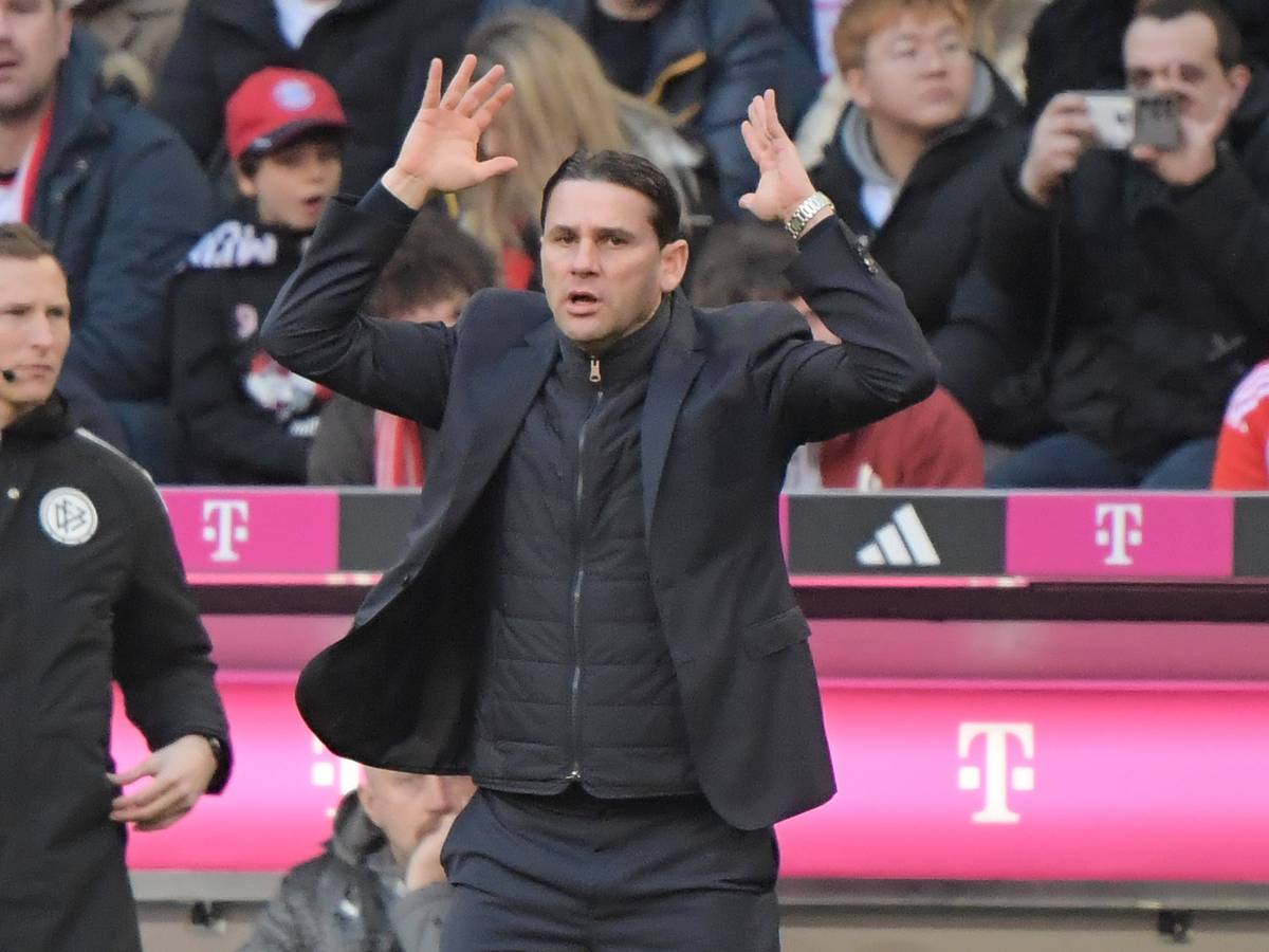 Gerardo Seoane gestikuliert wild.