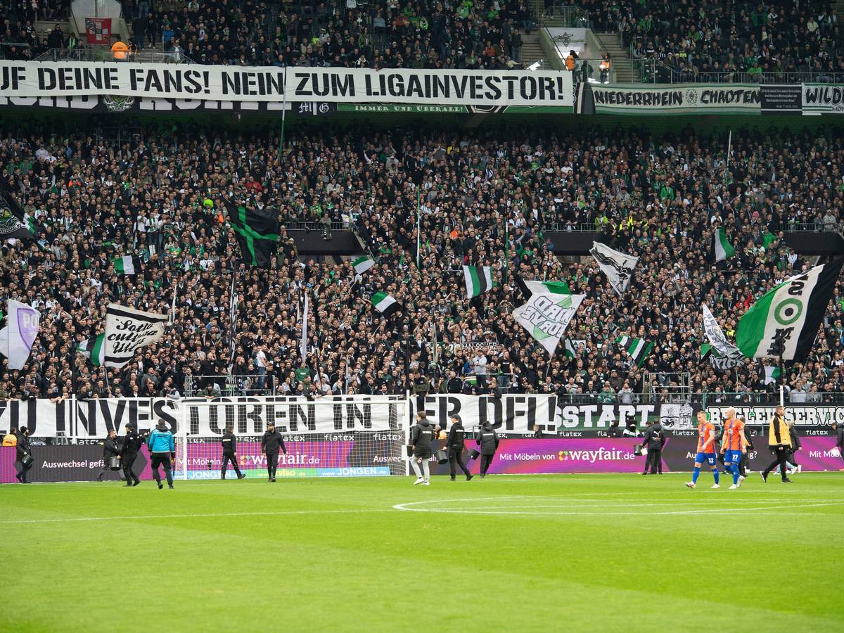 Mitarbeitende sammeln Tennisbälle auf dem Borussia-Park-Rasen ein.