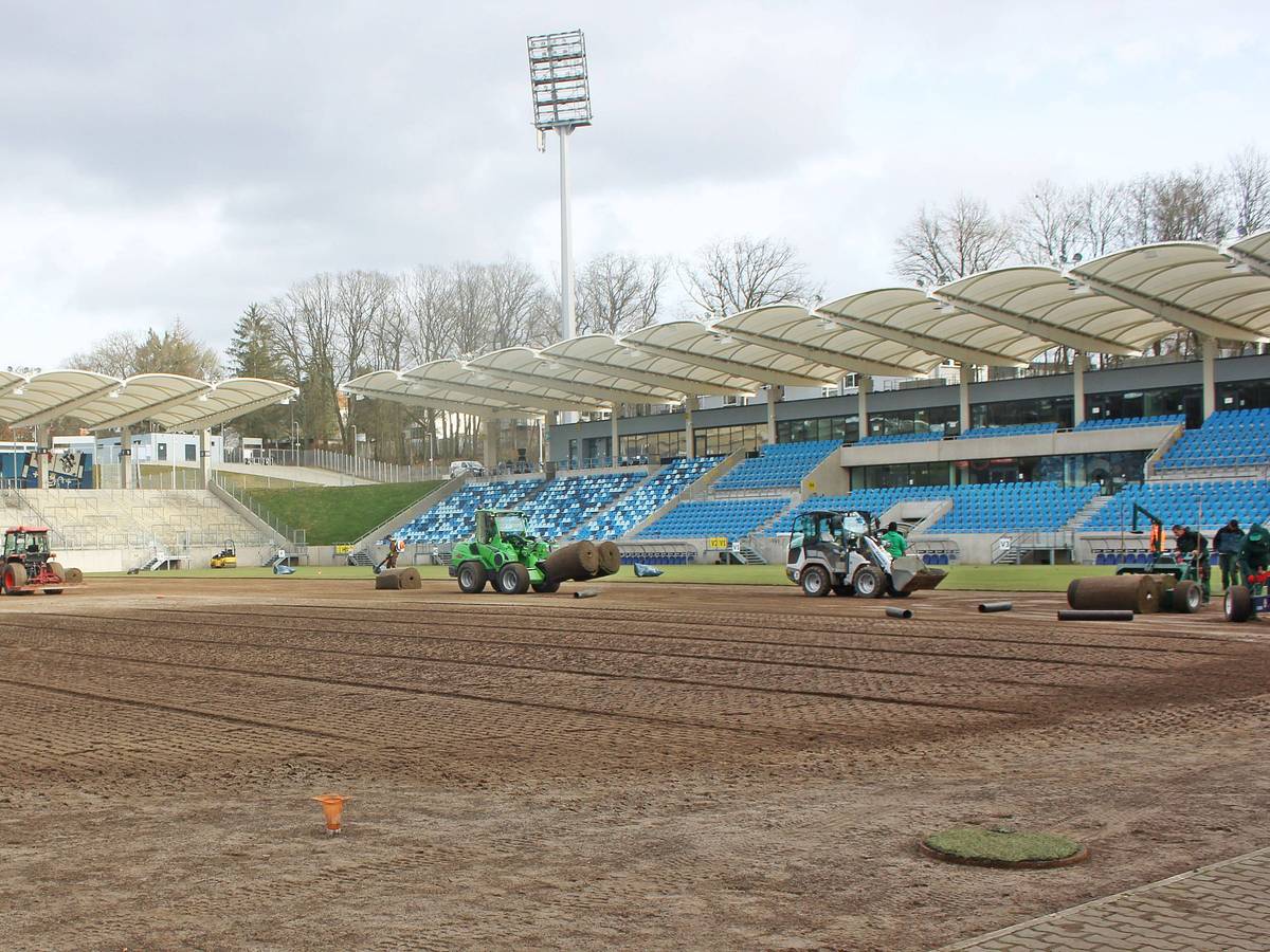 Ein neuer Rasen wird im Ludwigsparkstadion verlegt.