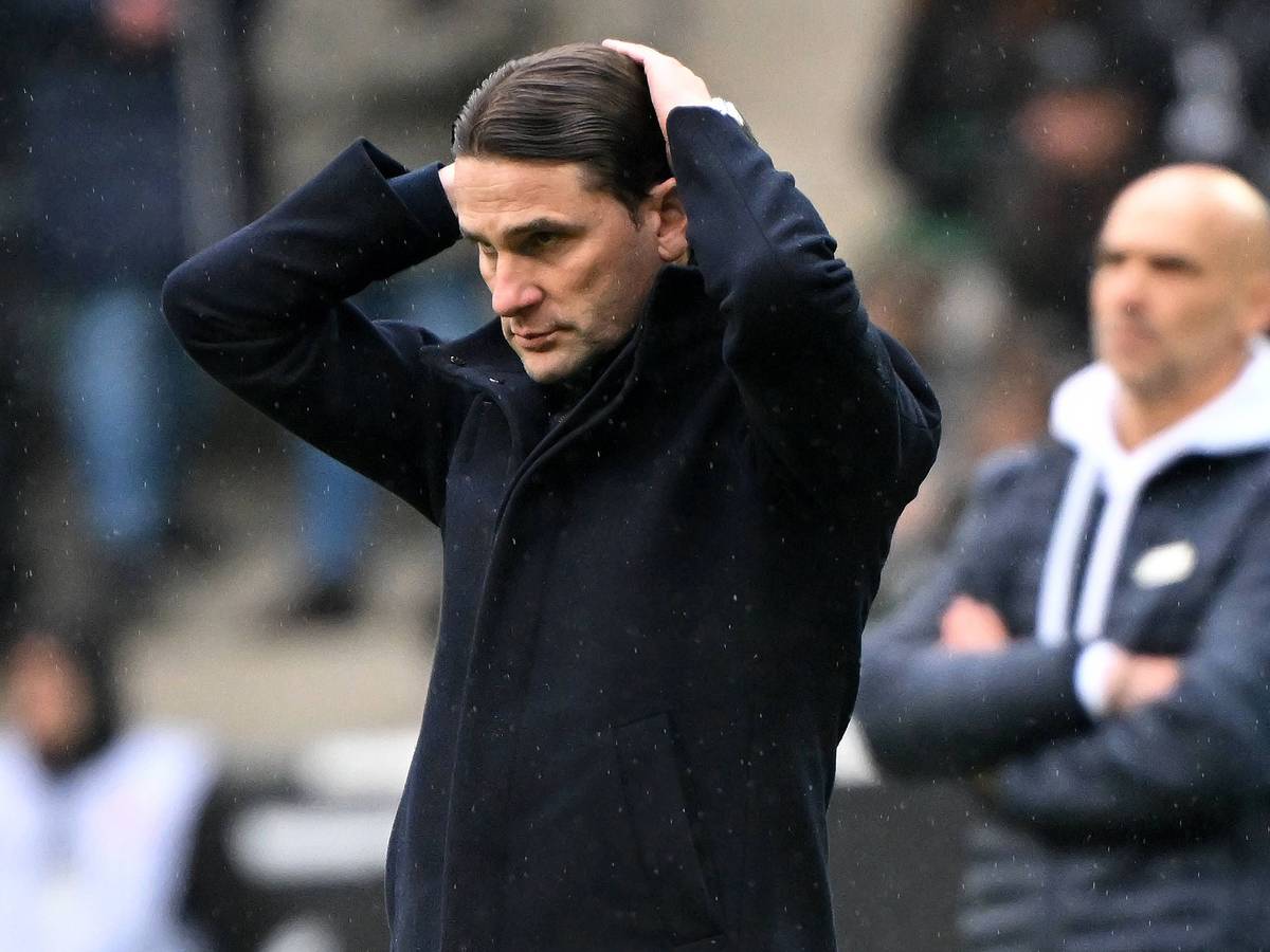 Gerardo Seoane fasst sich an den Kopf.