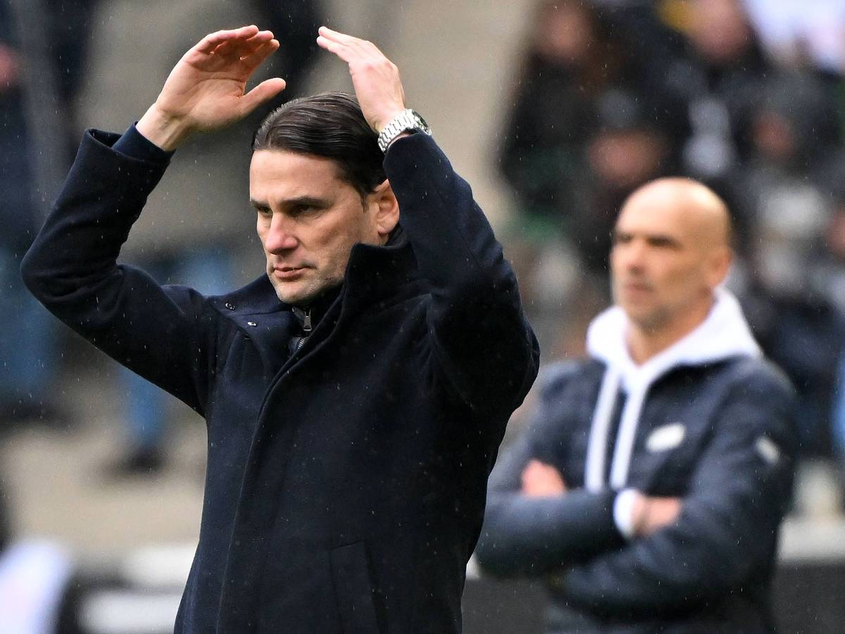 Gerardo Seoane hält seine Hände über den Kopf.