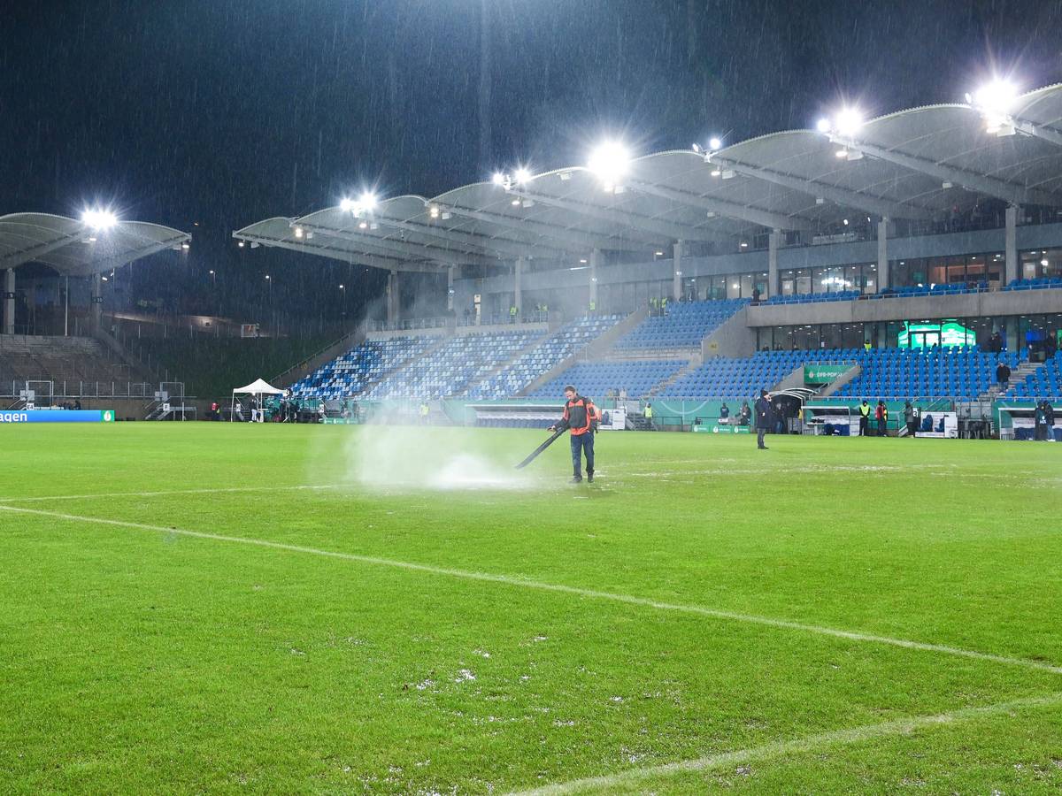 Rasen-Arbeiten im Ludwigsparkstadion.