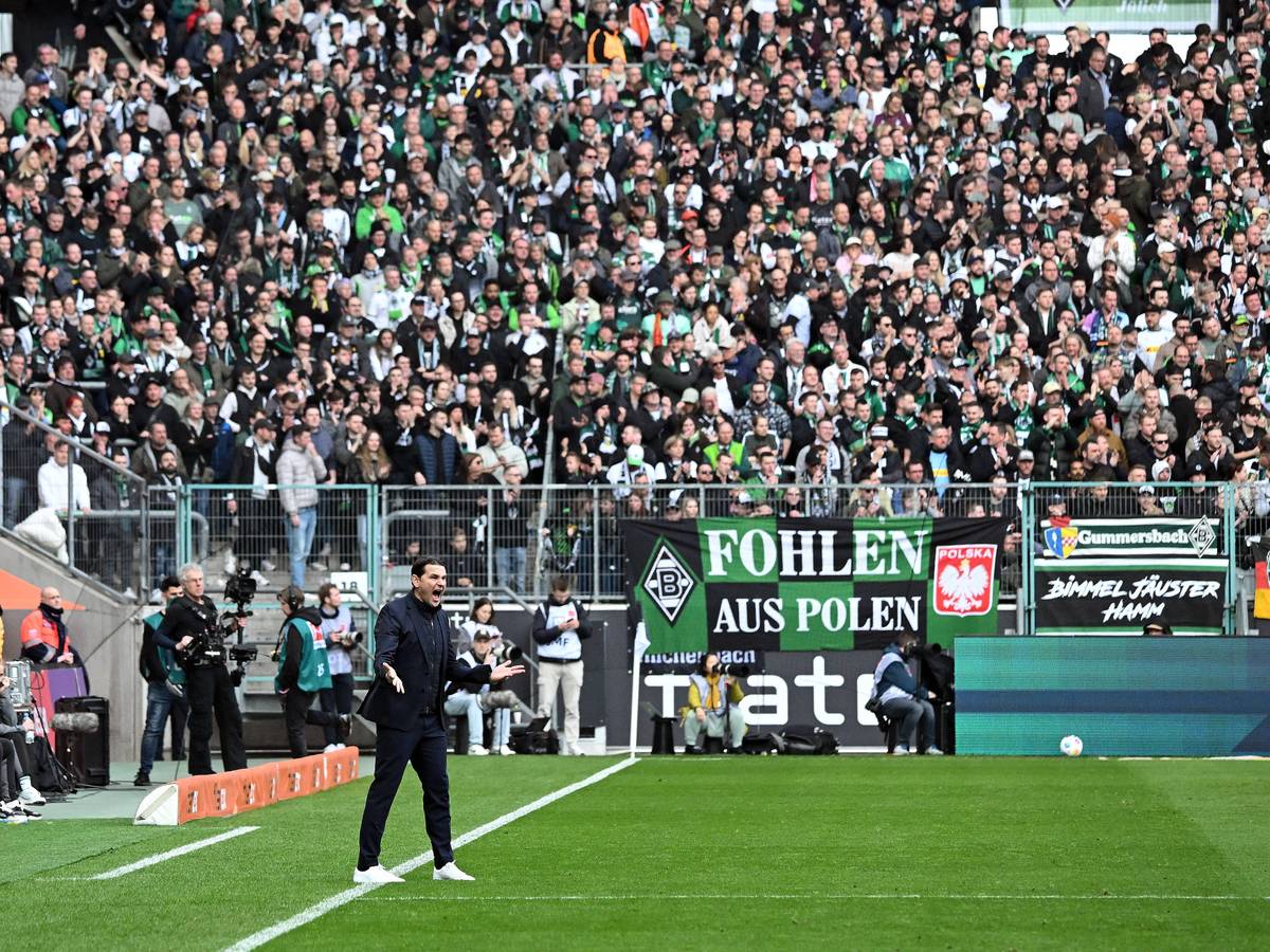 Gerardo Seoane steht auf dem Rasen.