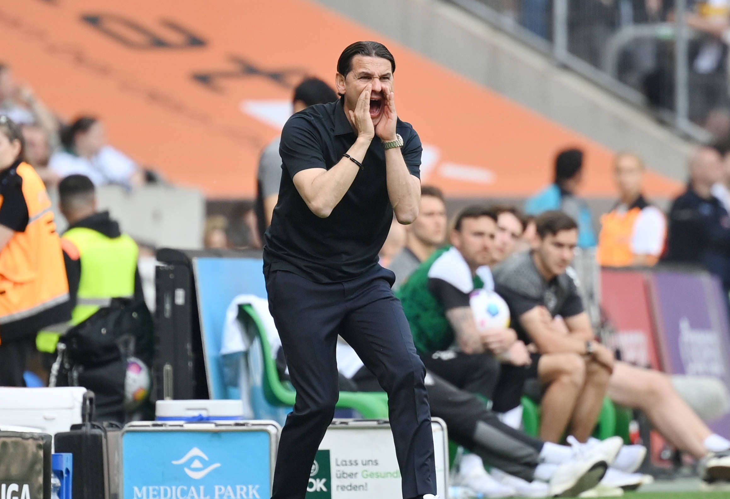 Gerardo Seoane schreit vom Spielfeldrand rein.