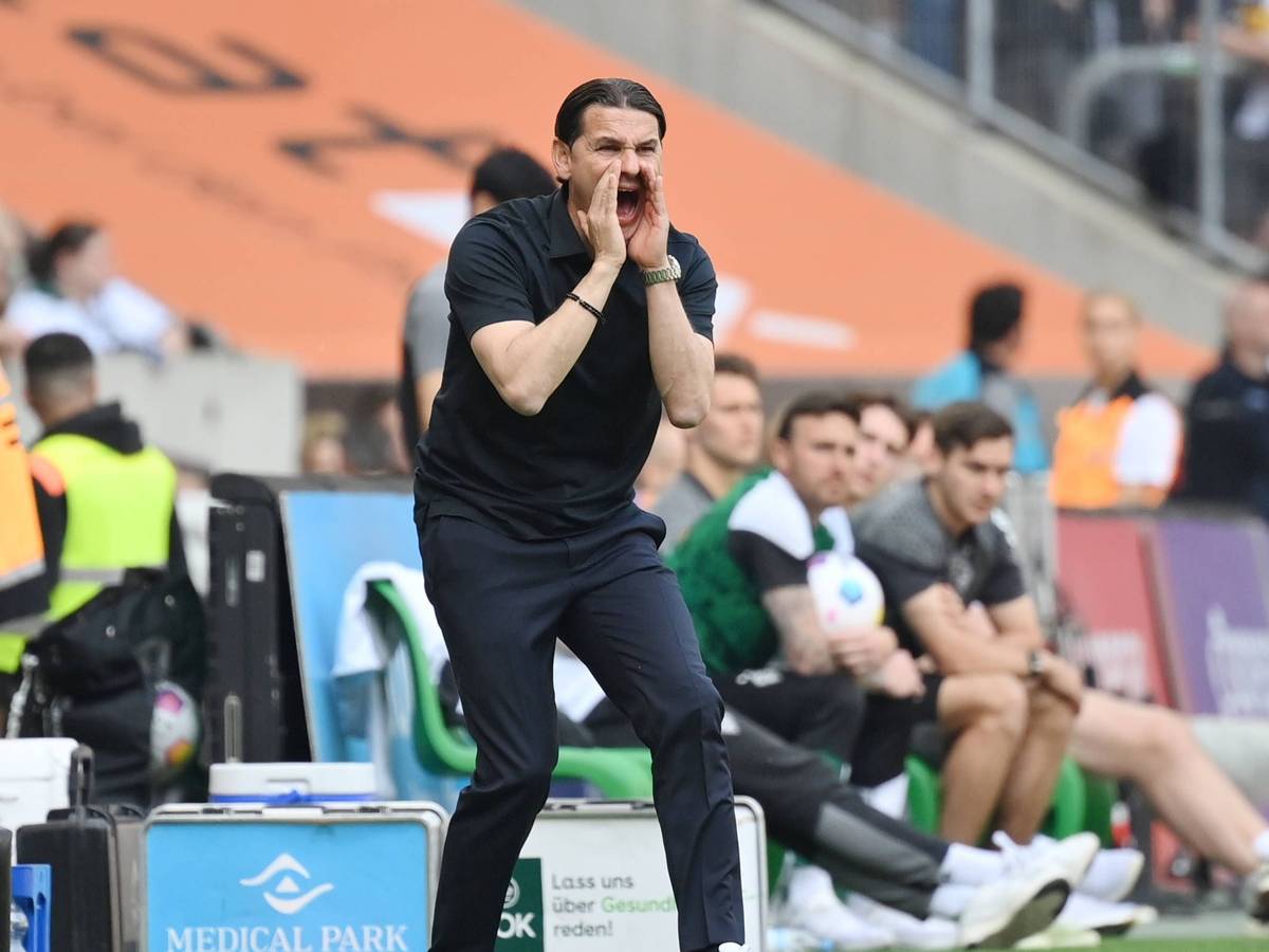 Gerardo Seoane schreit vom Spielfeldrand rein.