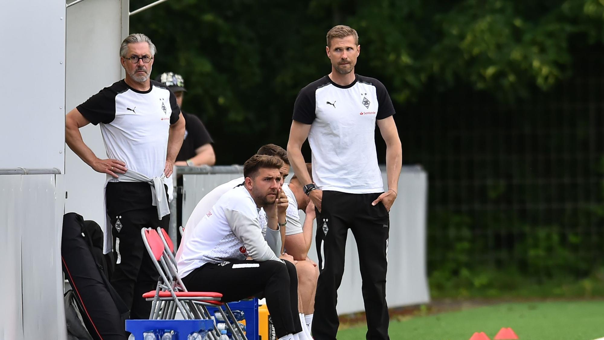 Das Trainerteam der U19 von Borussia Mönchengladbach während eines Spiels.