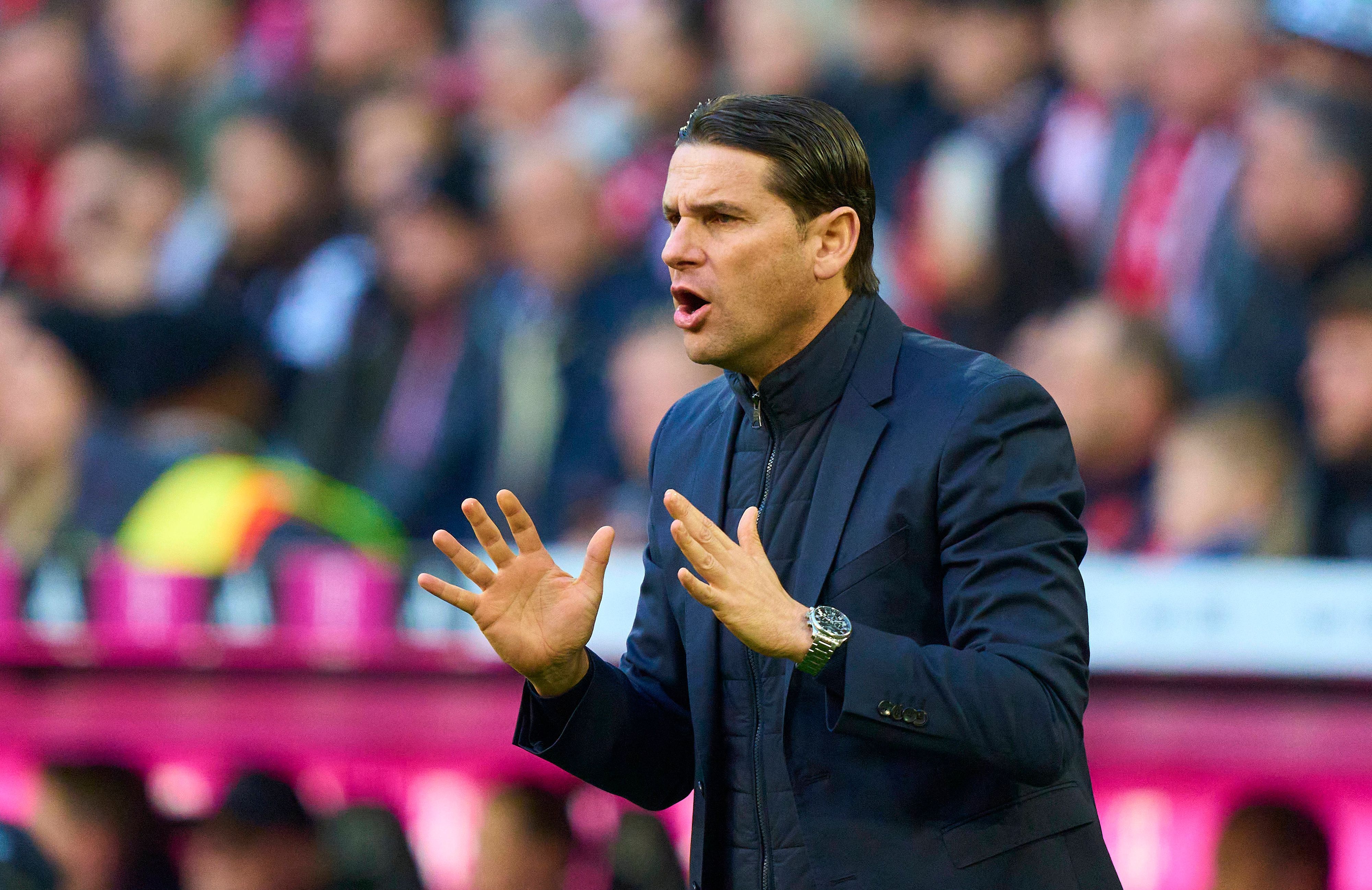 Gerardo Seoane ruft etwas aufs Spielfeld.