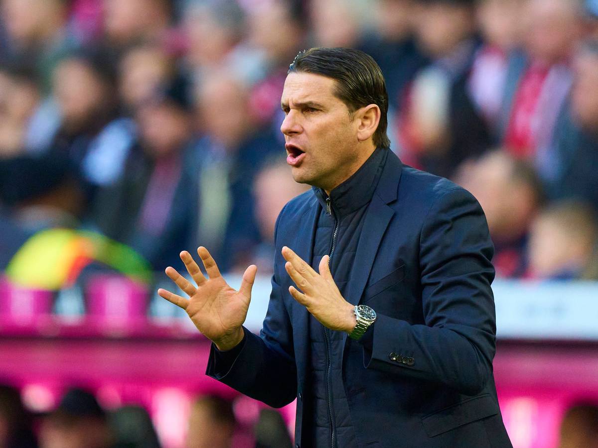 Gerardo Seoane ruft etwas aufs Spielfeld.