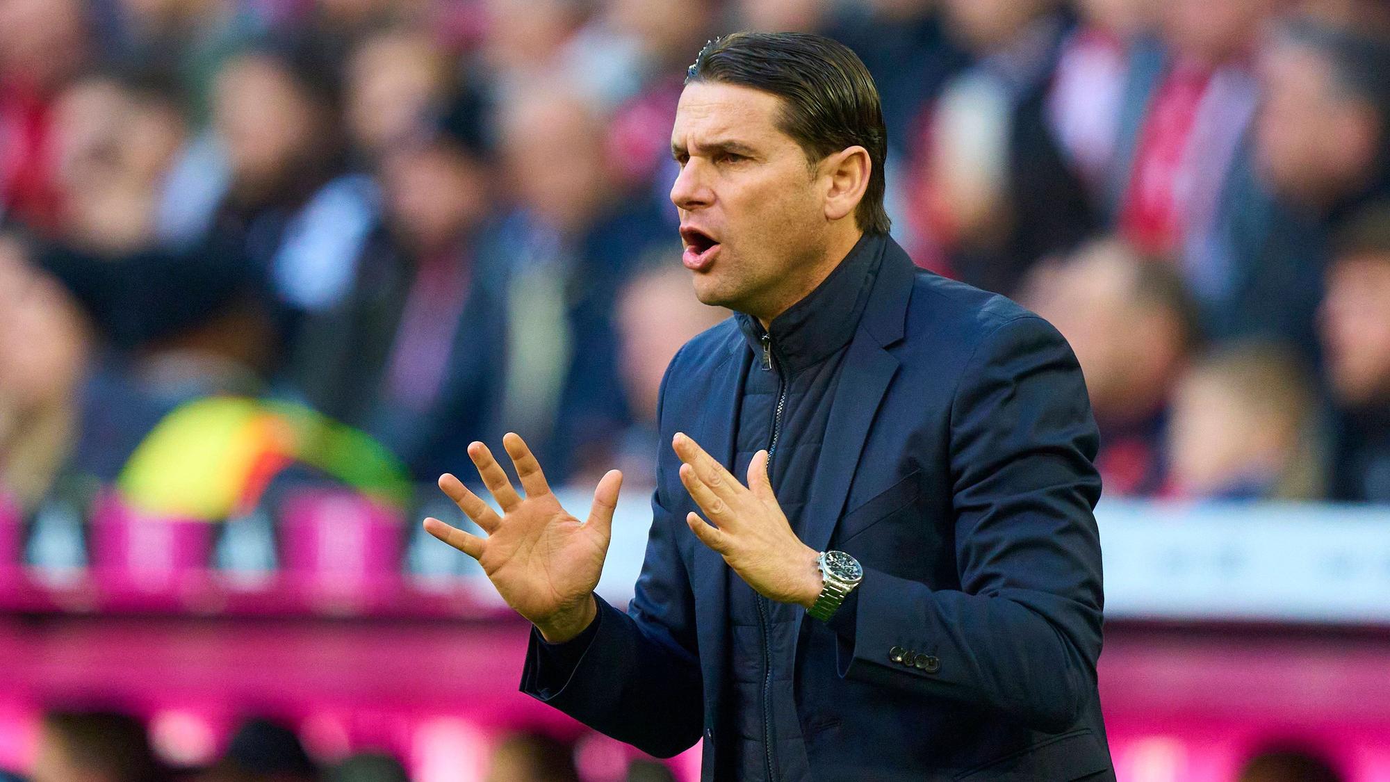 Gerardo Seoane ruft etwas aufs Spielfeld.